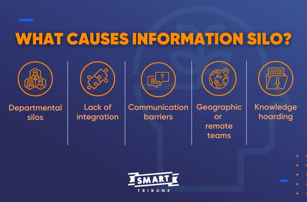 What Causes Information Silo